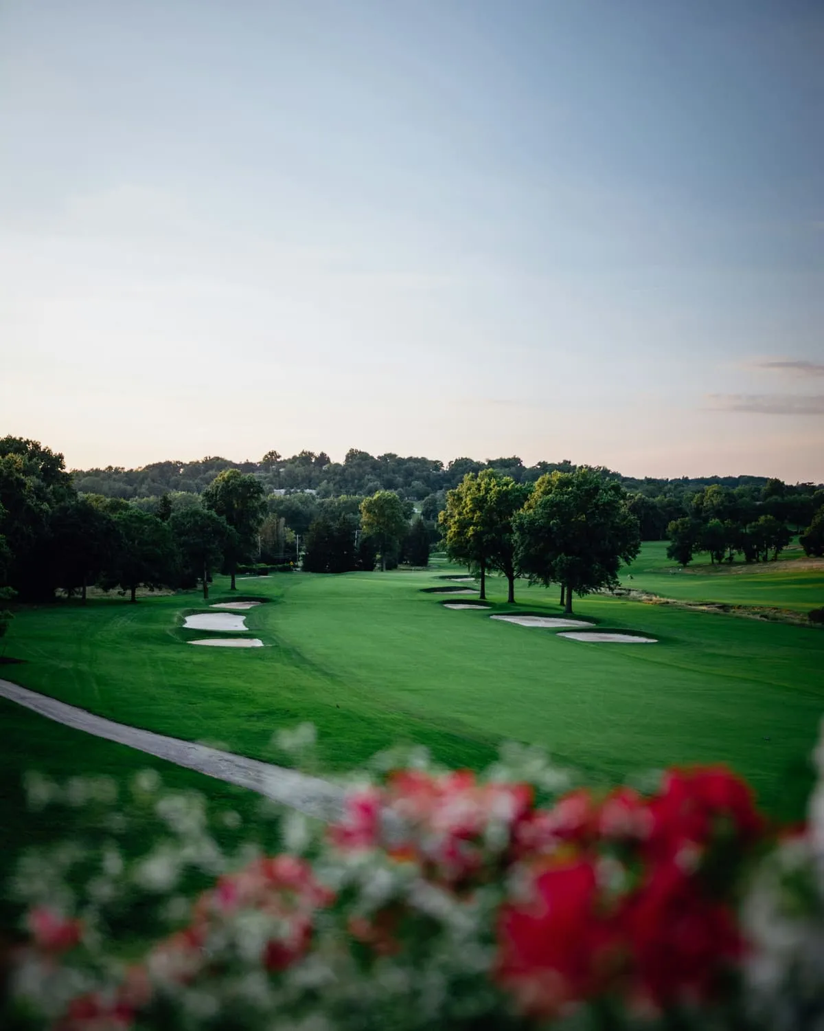 A tree-lined fairway in evening light